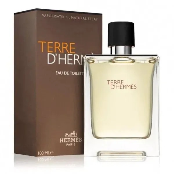 HERMÉS TERRE D'HERMÉS EDT 100 ML